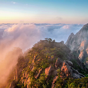 高速交通事故咋处理?流程、方式及注意事项全知道