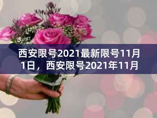 西安限号查询：16号限号情况及限行时间、规则全知道