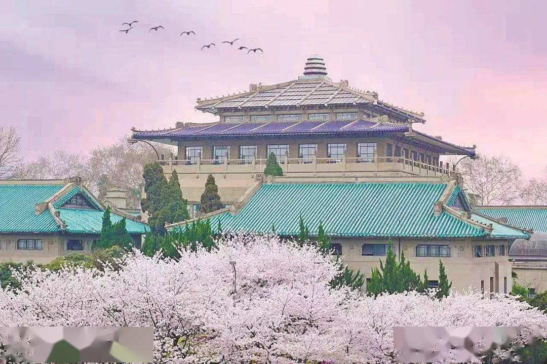 全国重点大学最新档次排名,志愿填报选校参考看这里