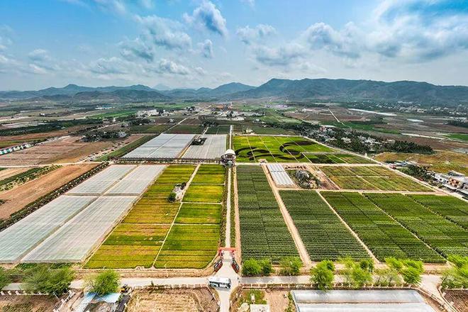 高考地理气候核心考点梳理,掌握判定方法与提分技巧