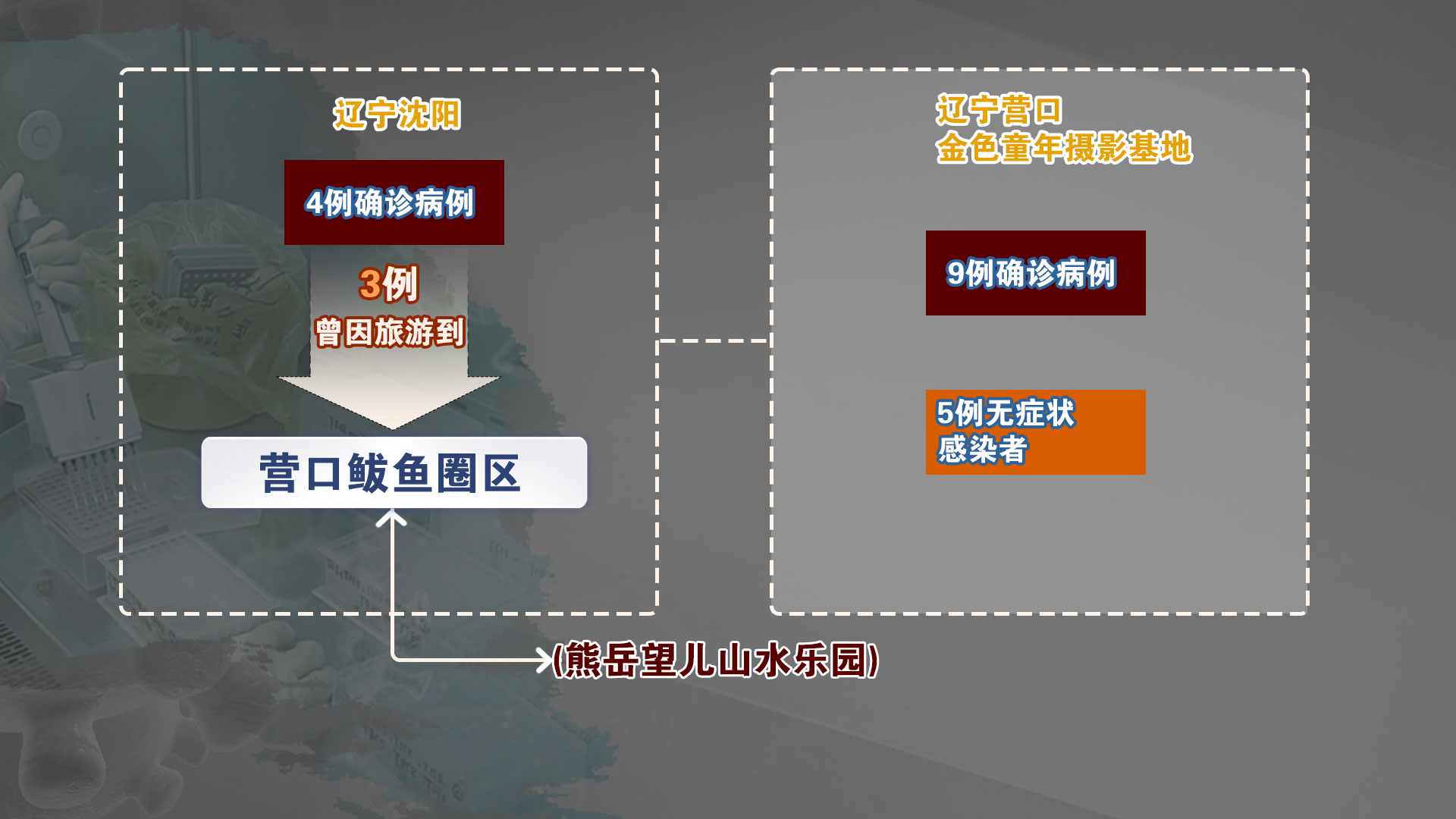 辽宁安徽疫情传播链延长,或因摄影培训活动引发